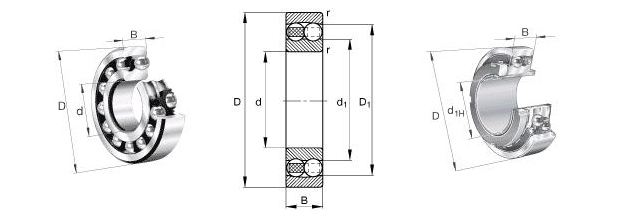 SNR1301